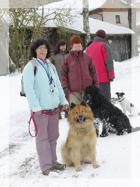 Hundeschule Klepper, Hundetraining Winter