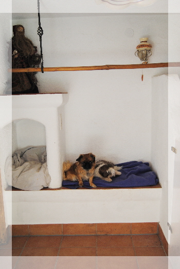 Hundehotel Schlafplätze